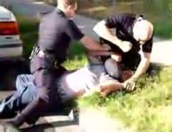 cops are herding dogs