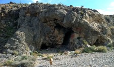 Seek shade during the day in the desert