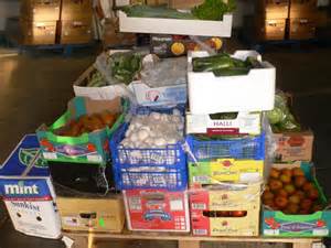 Food unit of ics during grid-down emergencies disasters