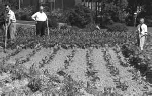 WWII Victory Garden