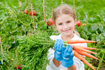 little Girl in vegatable Garden
