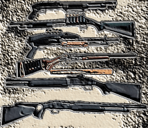 Choosing the right Shotgun