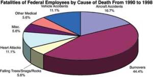 Wildland Firefighter Deaths Chart