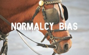 NormalcyBias-Horse