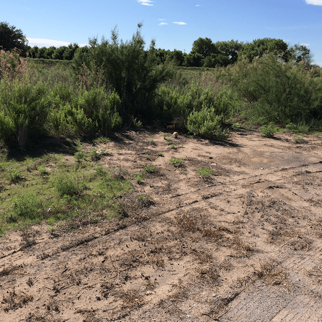 Lessons Learned - River Walk