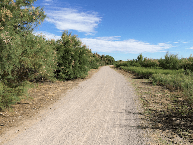 River walk lessons learned - situational awareness SA