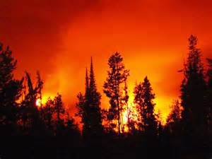 Wildfire growing and burning at night